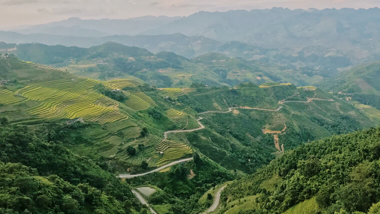 rice fields ha giang trekking